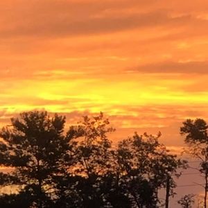 Meet your Posher, Buffy